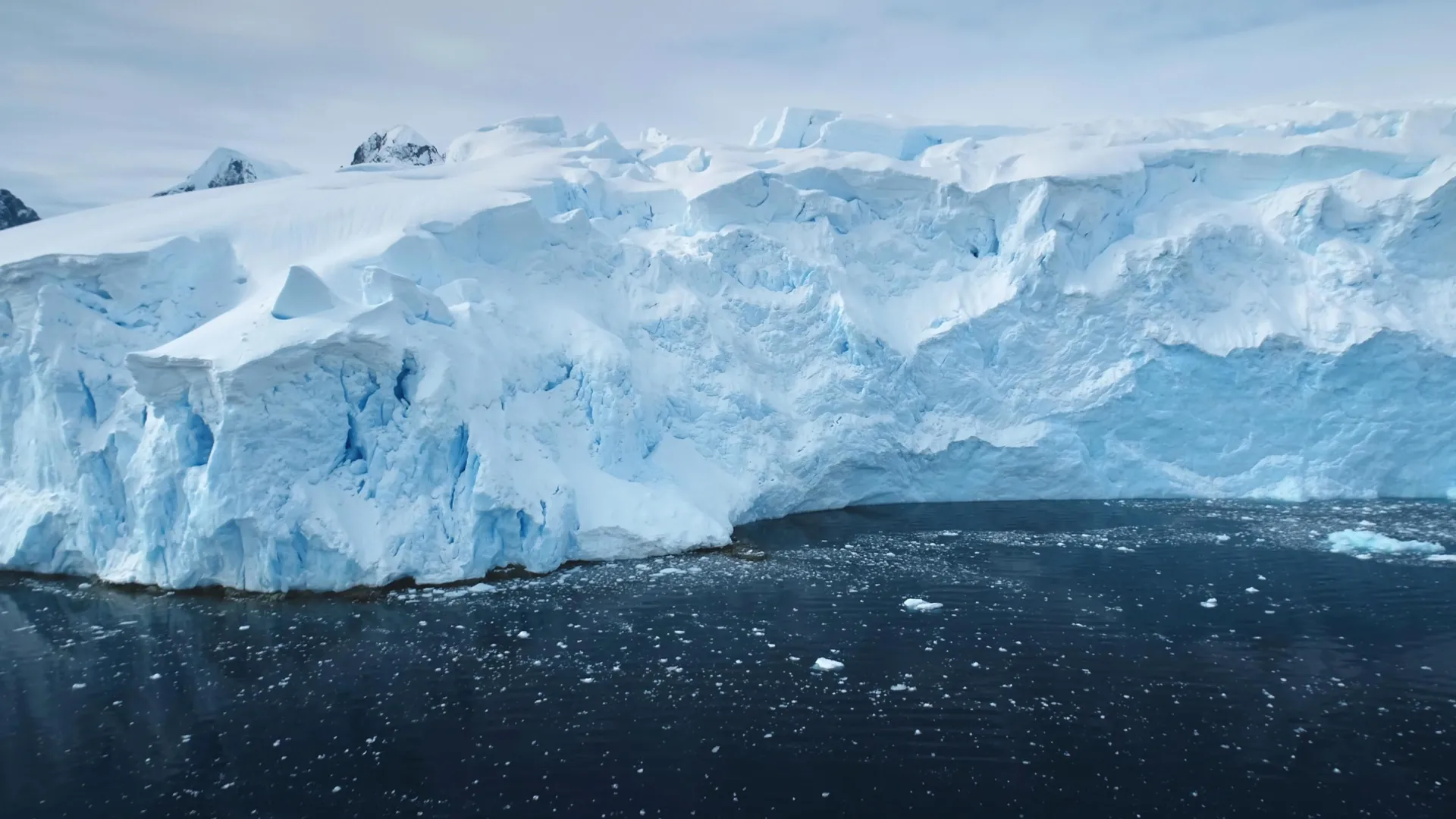 Melting Antarctic ice may weaken a major carbon sink