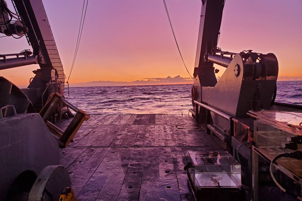 Viruses aren’t all bad: In the ocean, some help fuel the food web – a new study shows how