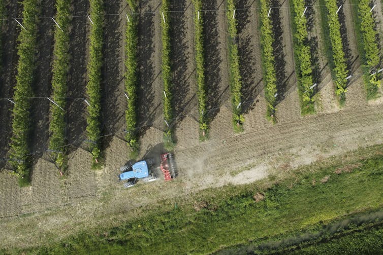 Despite its steep environmental costs, AI might also help save the planet