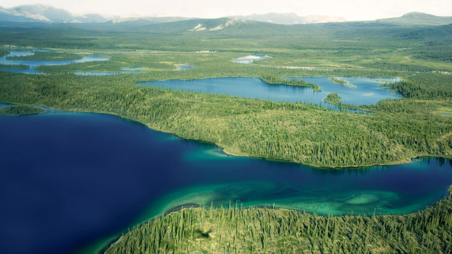 A simple water shift could turn Arctic farmland into a carbon sink