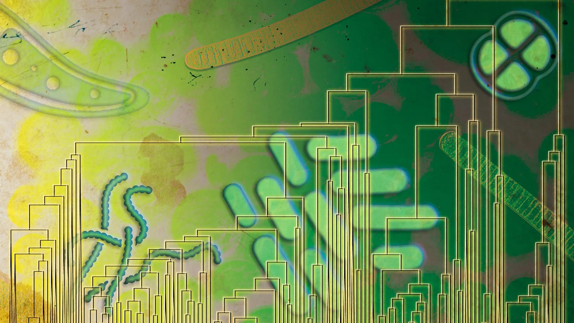 Ancient microbes may have used oxygen 500 million years before it filled Earth’s atmosphere