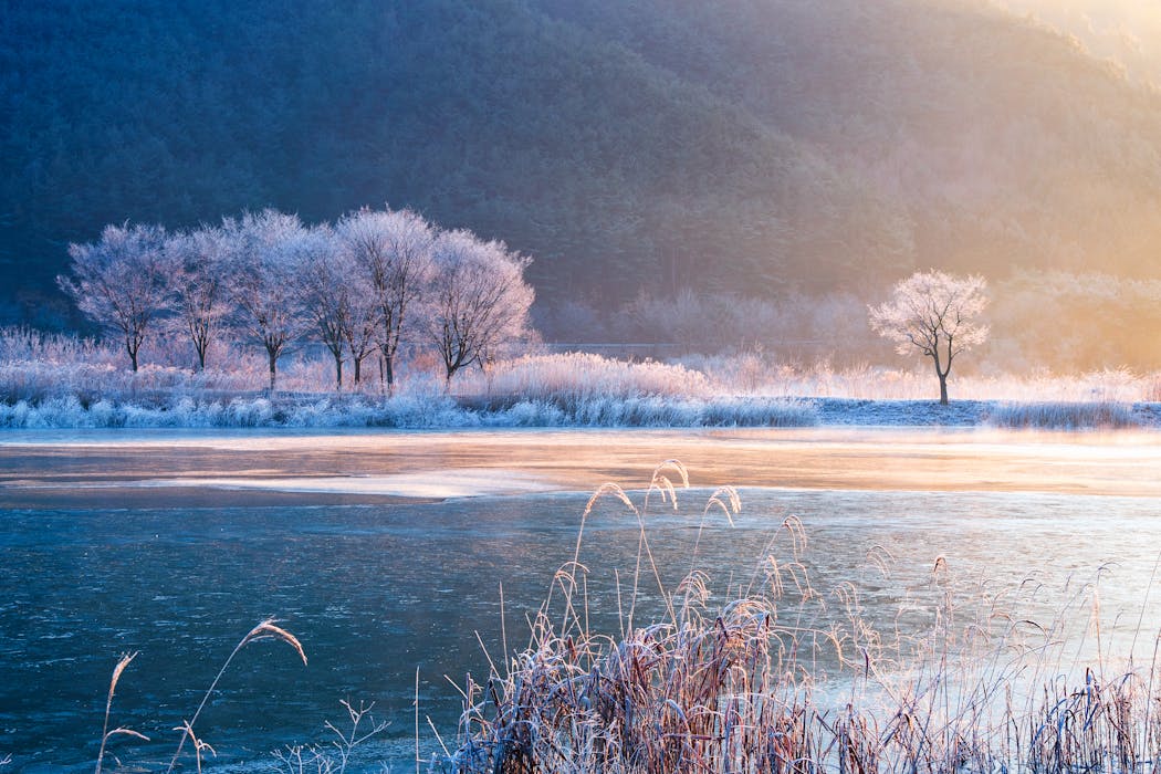 Warming winters are disrupting the hidden world of fungi – the result can shift mountain grasslands to scrub