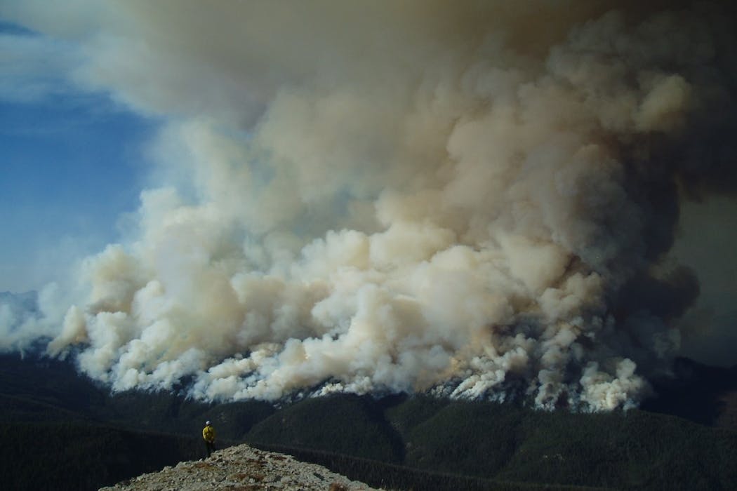 How protecting wilderness could mean purposefully tending it, not just leaving it alone