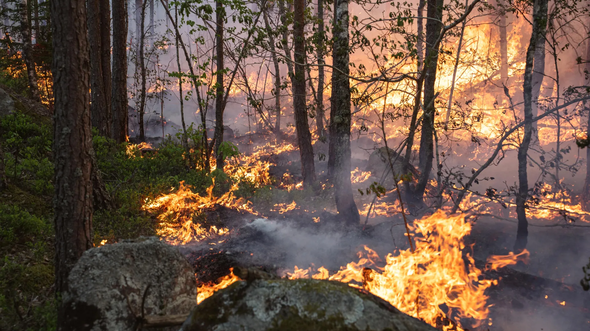 Climate models may be missing massive carbon emissions from boreal wildfires