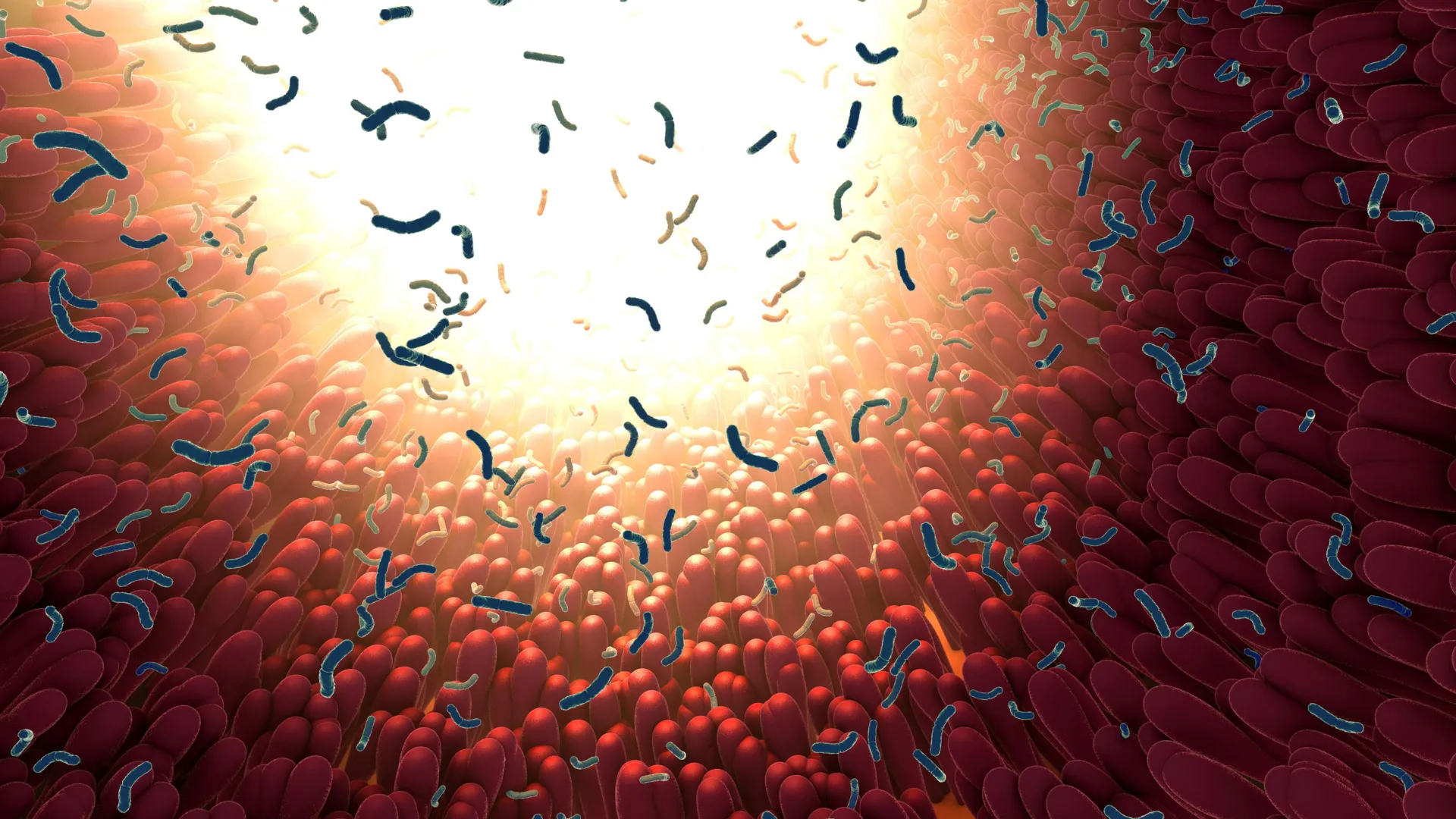 Your gut microbiome may be more contagious than scientists thought