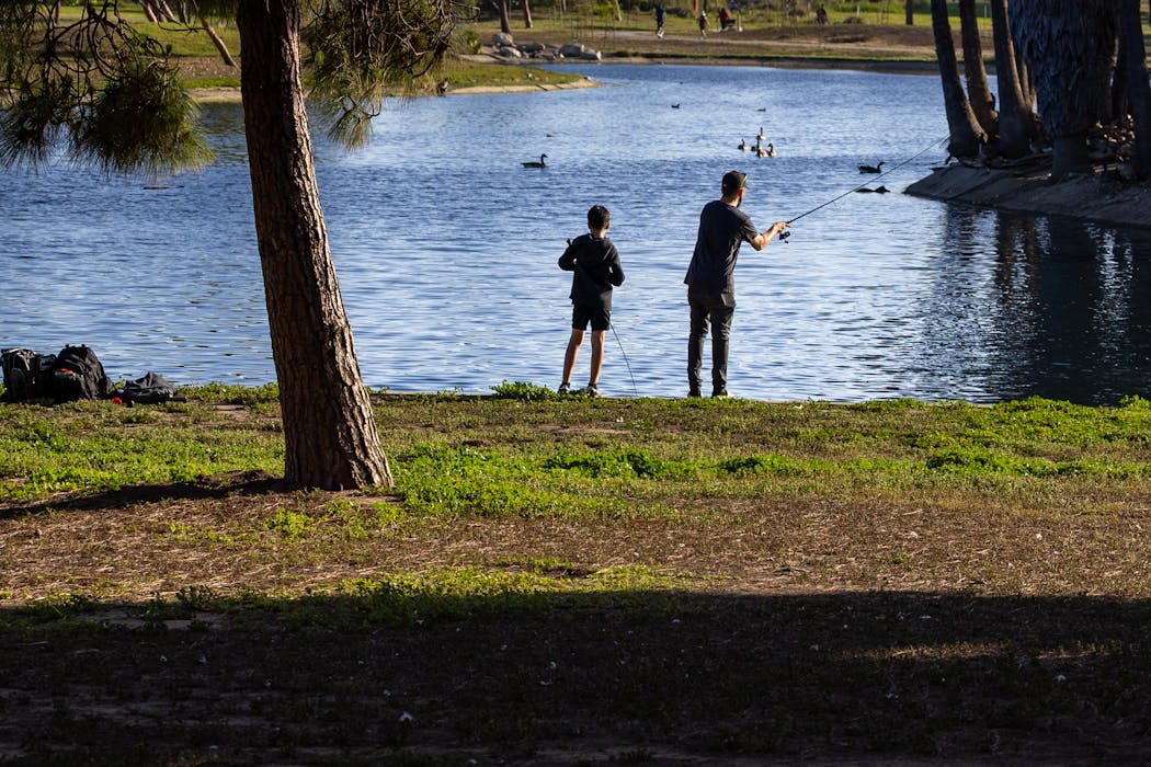 Recreational fishing in the US catches far more fish than previously estimated