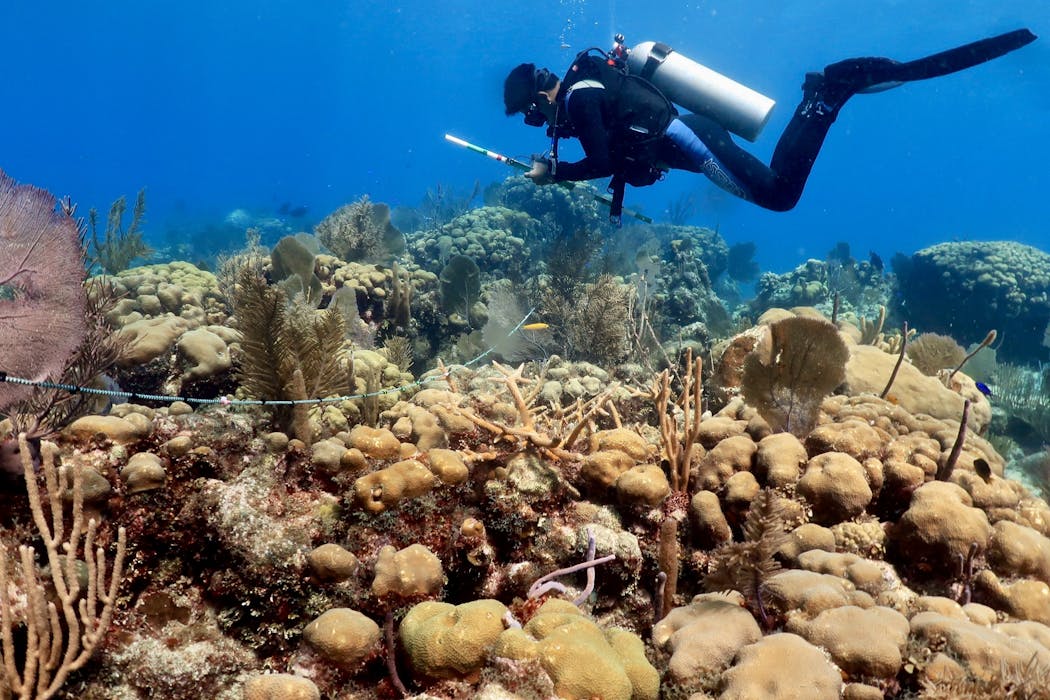 Many of the Caribbean’s most important reefs are going unprotected
