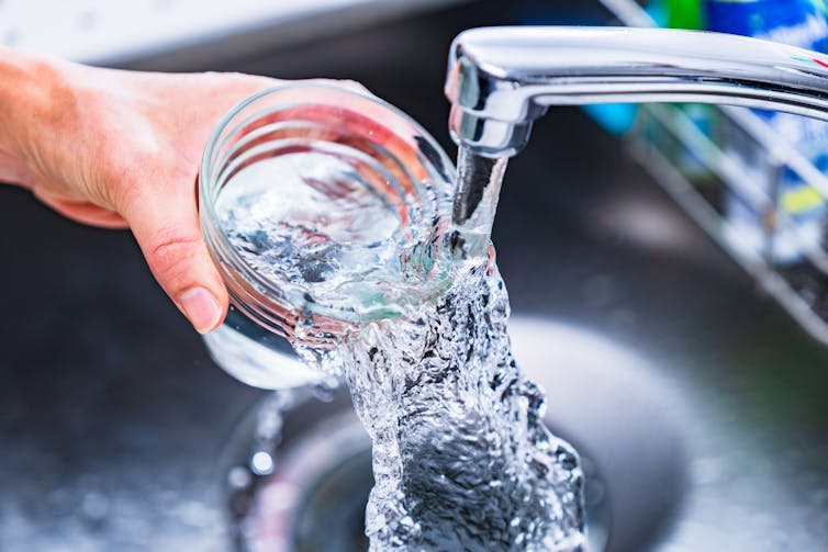 PFAS leave fingerprints in your blood – researchers are figuring out how forever chemicals transform in your body to read these clues
