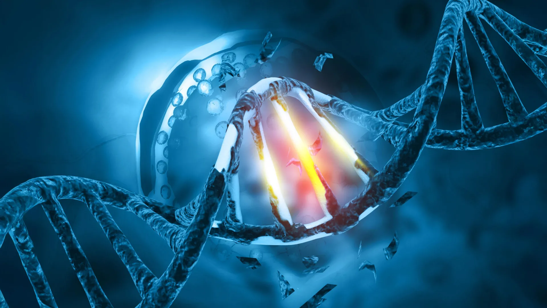 One tiny mutation may explain how bat viruses become human threats