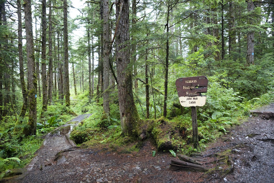 Paving paradise: Dismantling the US Roadless Rule threatens to disrupt wildlife, water and peace in the last quiet places in America