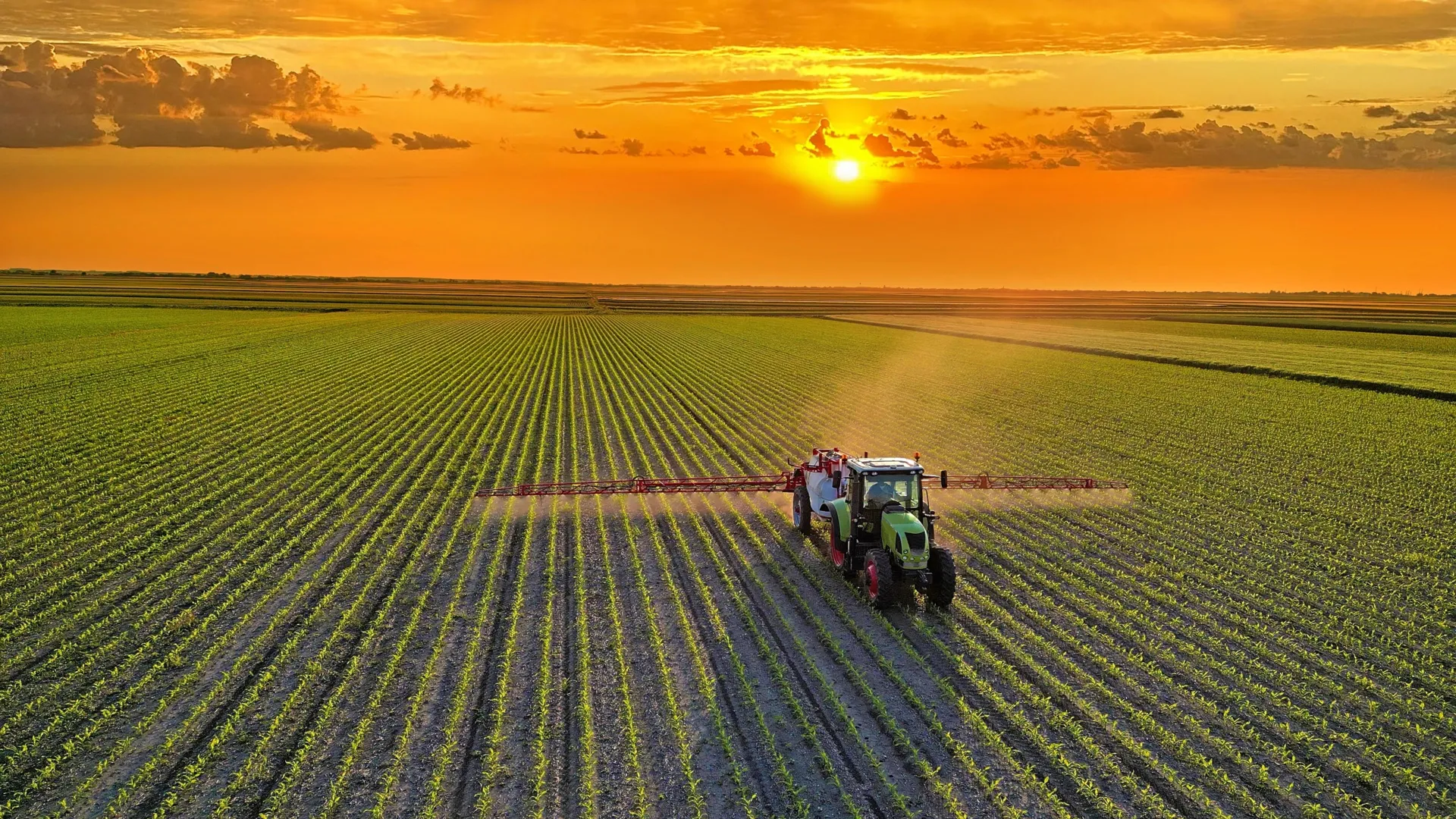 A healthier global diet could cut farm emissions by 85%