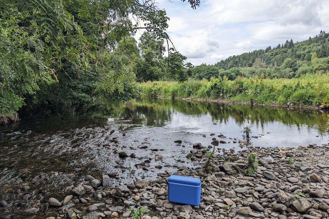 Fishing for DNA – how a cup of river water can reveal secrets about human health, pollution and biodiversity