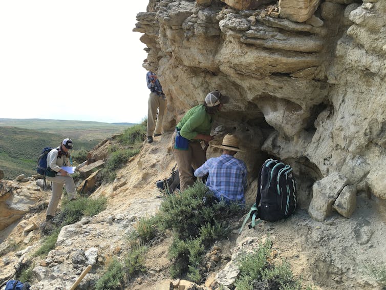 Ancient forests took 100,000 years to recover from the last global warming period similar to today – Wyoming fossils reveal what happened