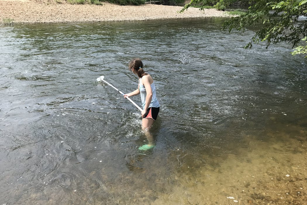 Fish DNA in Ozark streams reveals region’s complex geologic history