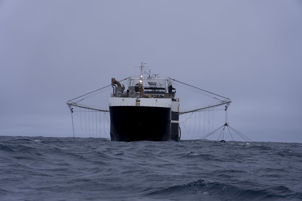 Antarctic krill fishing is now concentrated in the exact pattern conservation rules were designed to prevent