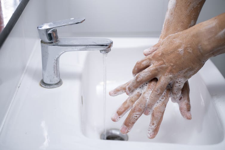 How does ‘Salmonella’ contaminate everything under the sun? A food safety specialist explains how you can stop its spread