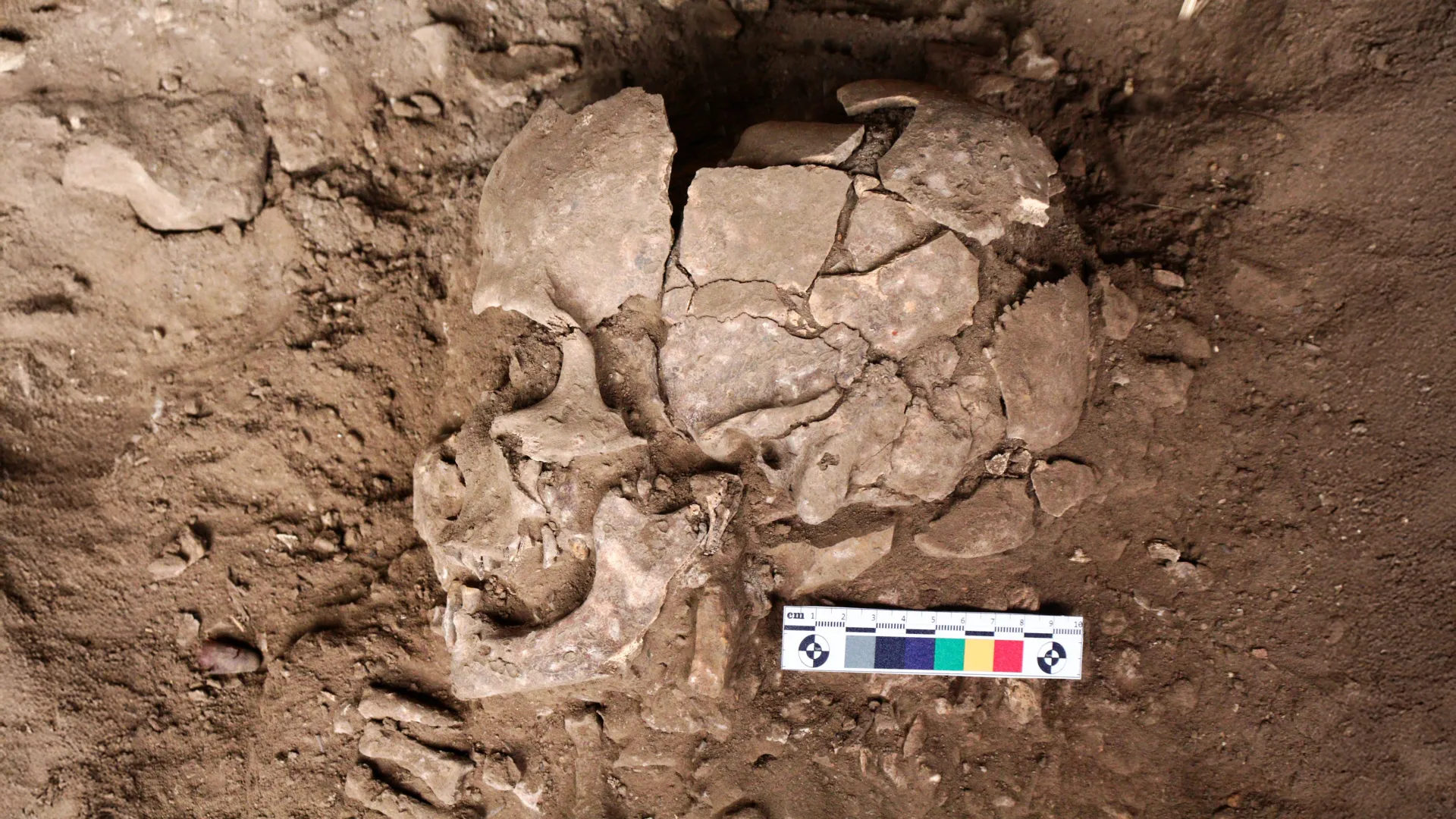 Ancient teeth reveal humans were getting high 25,000 years ago
