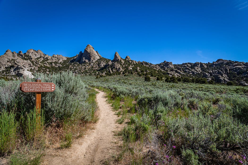 Could you survive The Oregon Trail? An emergency medicine doctor offers tips on how to not die in the great outdoors