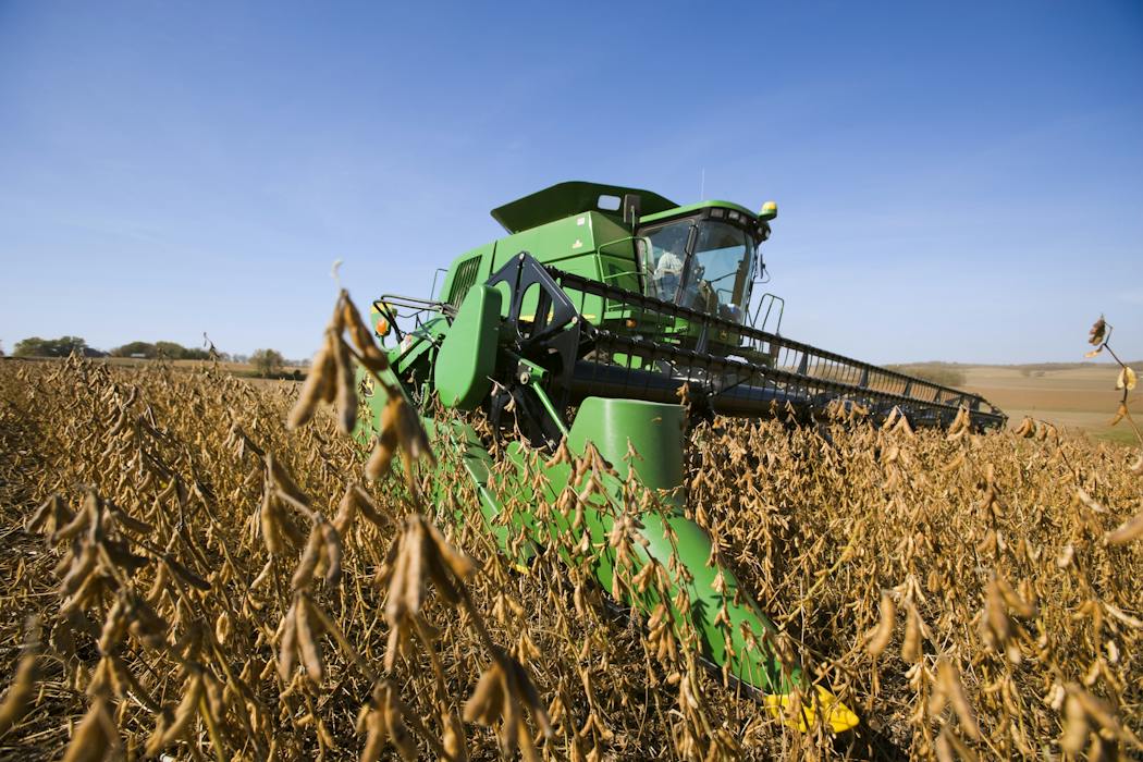 How soybeans took over the American diet – without anyone noticing