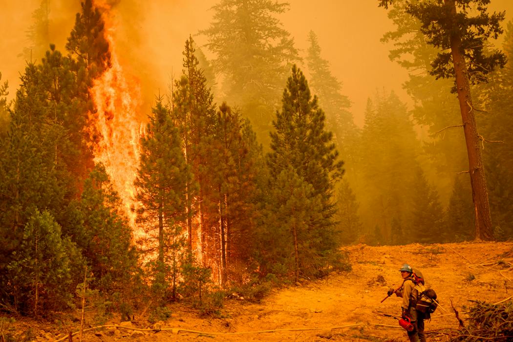 Wildfire strategy doesn’t need a winner – with 3 camps fighting for dominance, the system can’t keep up with the risk