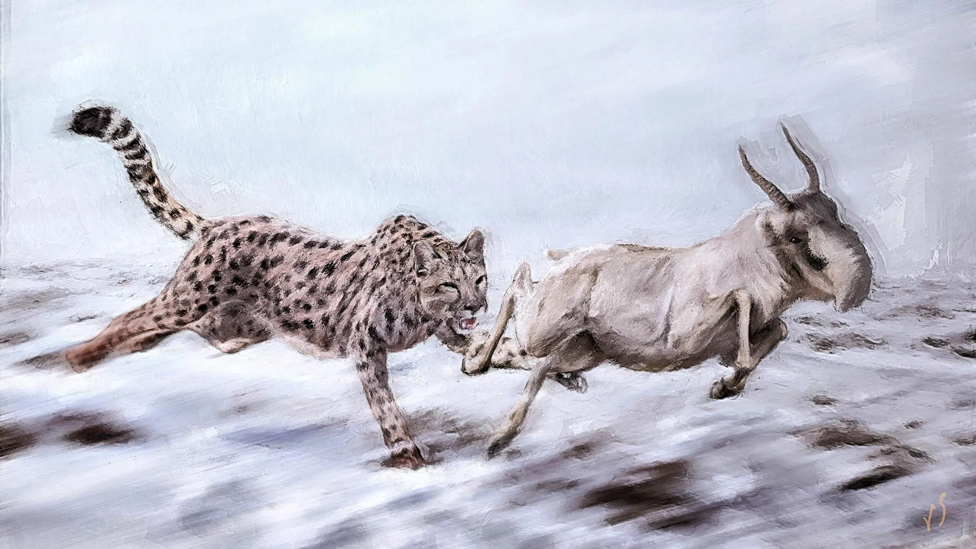 The American “cheetah” wasn’t a cheetah at all